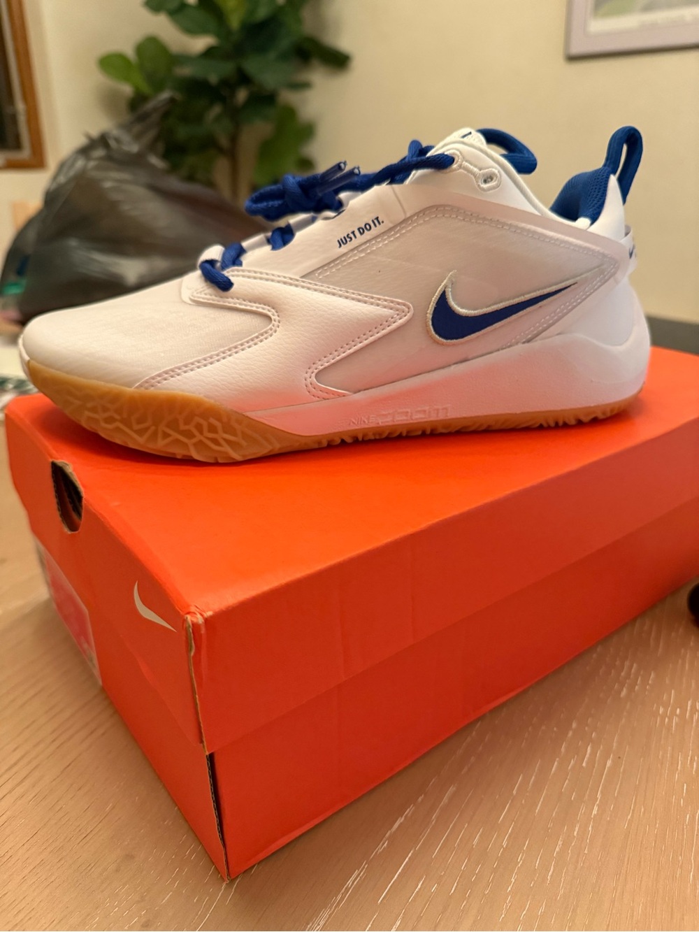 Nike White & Blue Sneakers with Gum Outsole